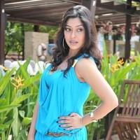 Payal Ghosh New Hot and Spicy Gallery | Picture 90617